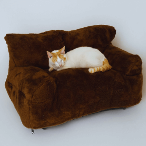 sofa gatos