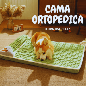 cama ortopedica