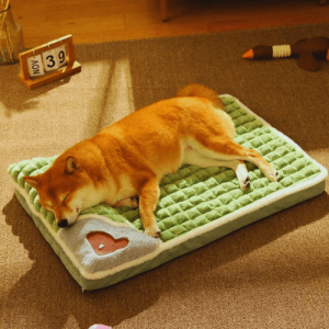 cama perro